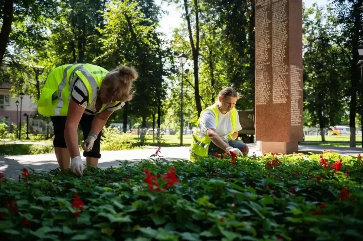 Татьяна Витушева: Августовская симфония красок! Татьяна Витушева: Августовская симфония красок!