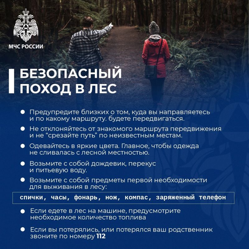 Чтобы поход в лес не принес неприятности важно правильно подготовиться и соблюдать меры предосторожности