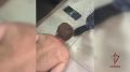 Росгвардейцы задержали рецидивиста, повредившего имущество на АЗС в Подмосковье