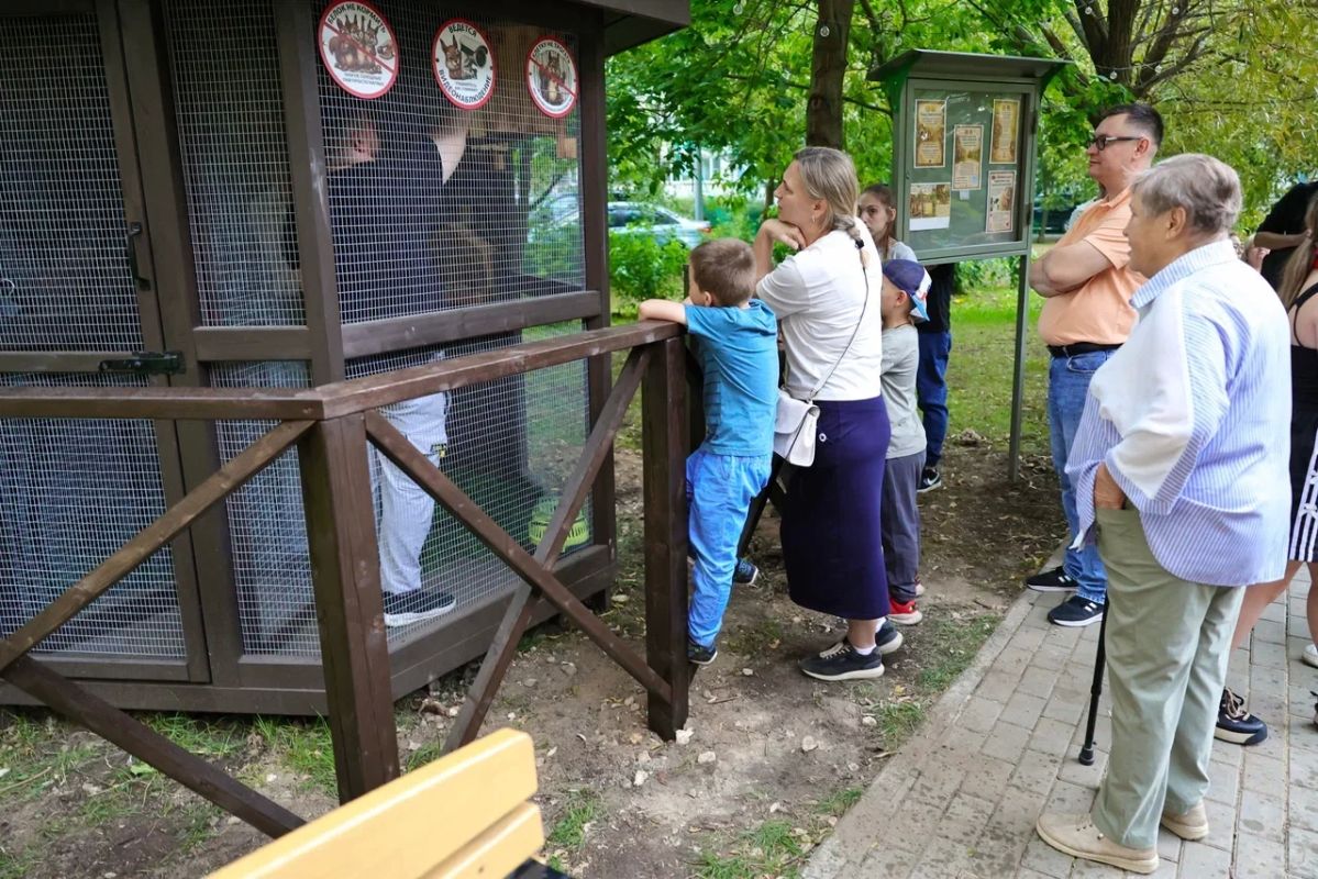 Дом для белок появился в Мытищах на улице Станционной Дом для белок появился в Мытищах на улице Станционной