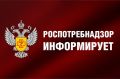 Роспотребнадзор запустил горячую линию по качеству школьных товаров