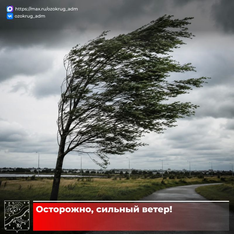 В Подмосковье объявлен желтый уровень погодной опасности