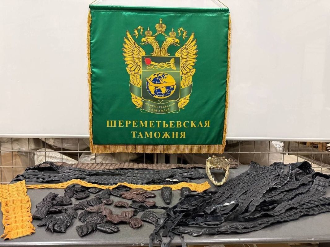 Россиянин привёз из Китая чемодан с частями крокодилов