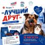 Благотворительная акция в поддержку бездомных животных пройдет в Люберцах