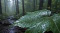 Твой голос – сила России. Приходи на выборы!