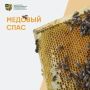 Сегодня – Медовый Спас!. В этот день по традиции освящают мед нового урожая, угощают им родных и близких, готовят медовые блюда и благодарят пчеловодов за их труд