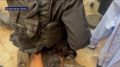 � ����������� ����������� ������� ���������� ����� ����� ����������