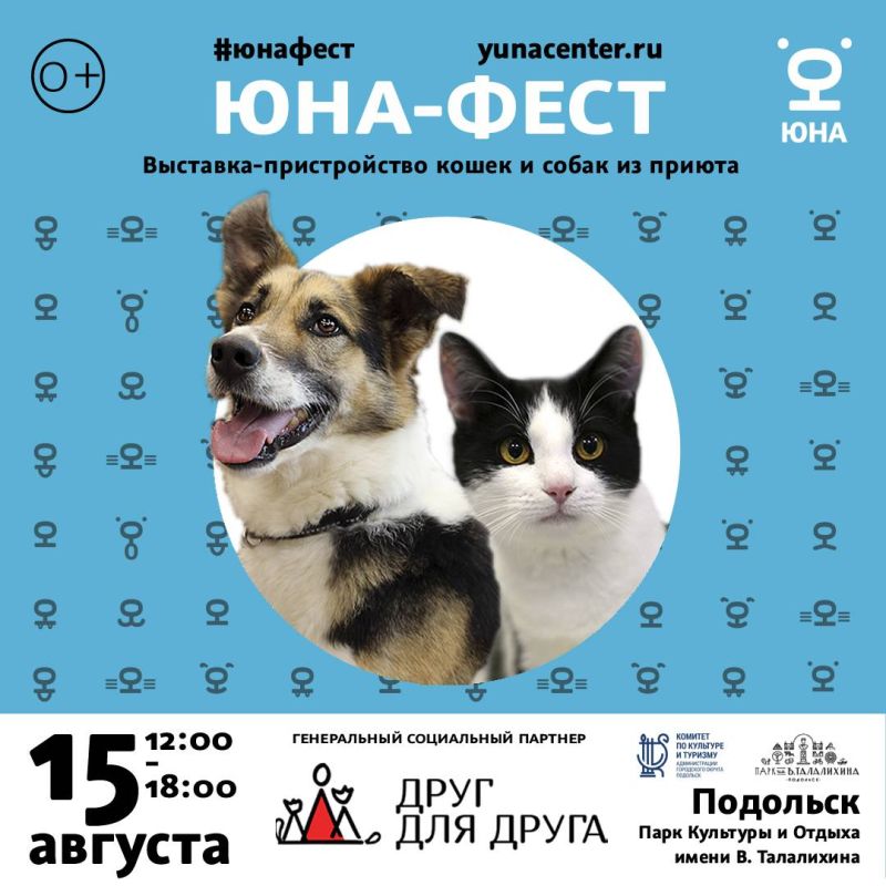 В Подольске пройдёт «Юна-Фест» — большая благотворительная выставка-пристройство собак и кошек из приюта