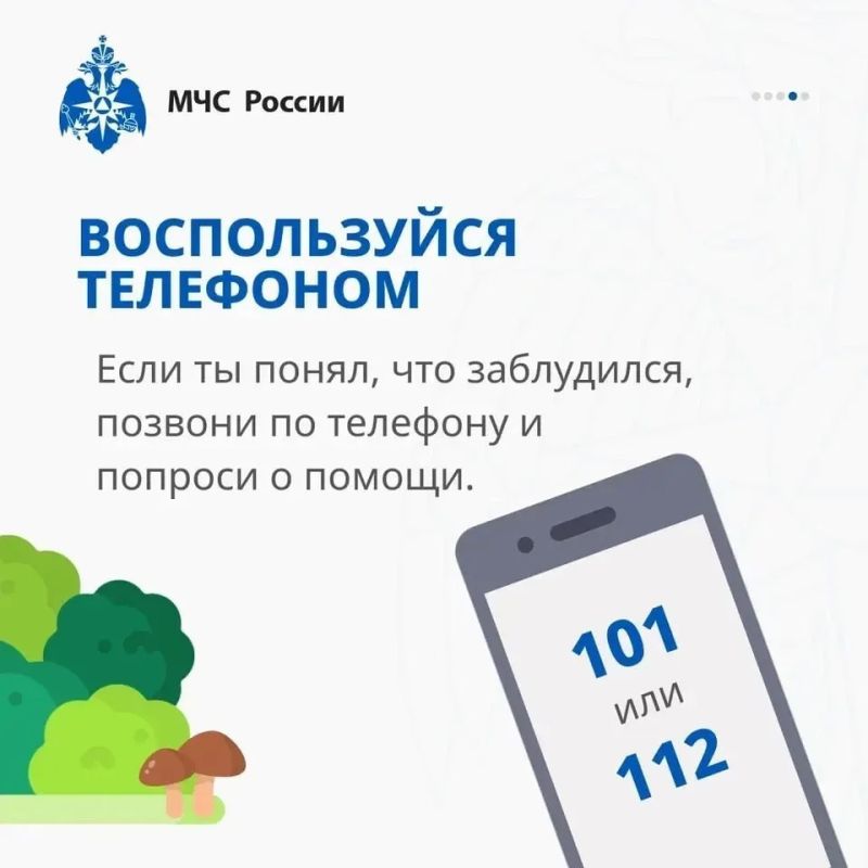 Заблудился в лесу? Главное, не паниковать