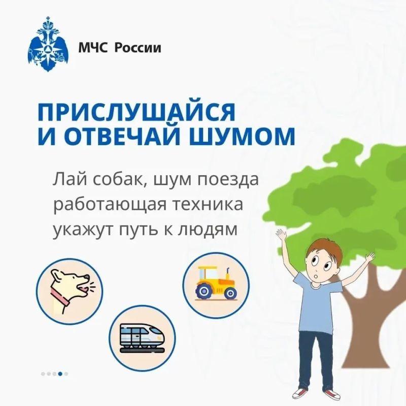 Заблудился в лесу? Главное, не паниковать Заблудился в лесу? Главное, не паниковать