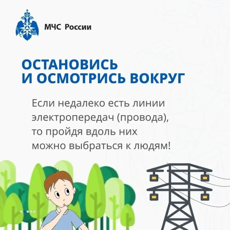 Заблудился в лесу? Главное, не паниковать Заблудился в лесу? Главное, не паниковать
