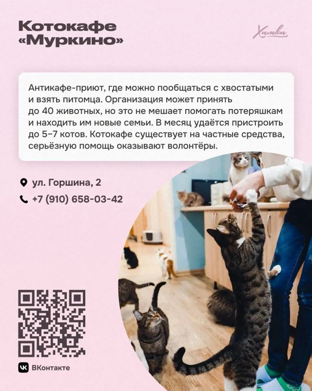 Приюты и фонды Химок: здесь ждут помощи и дарят надежду Приюты и фонды Химок: здесь ждут помощи и дарят надежду