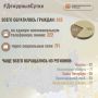 В Информационный центр СК России за прошедшие сутки всего обратилось граждан: 933