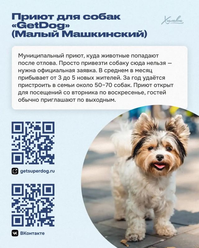 Приюты и фонды Химок: здесь ждут помощи и дарят надежду Приюты и фонды Химок: здесь ждут помощи и дарят надежду