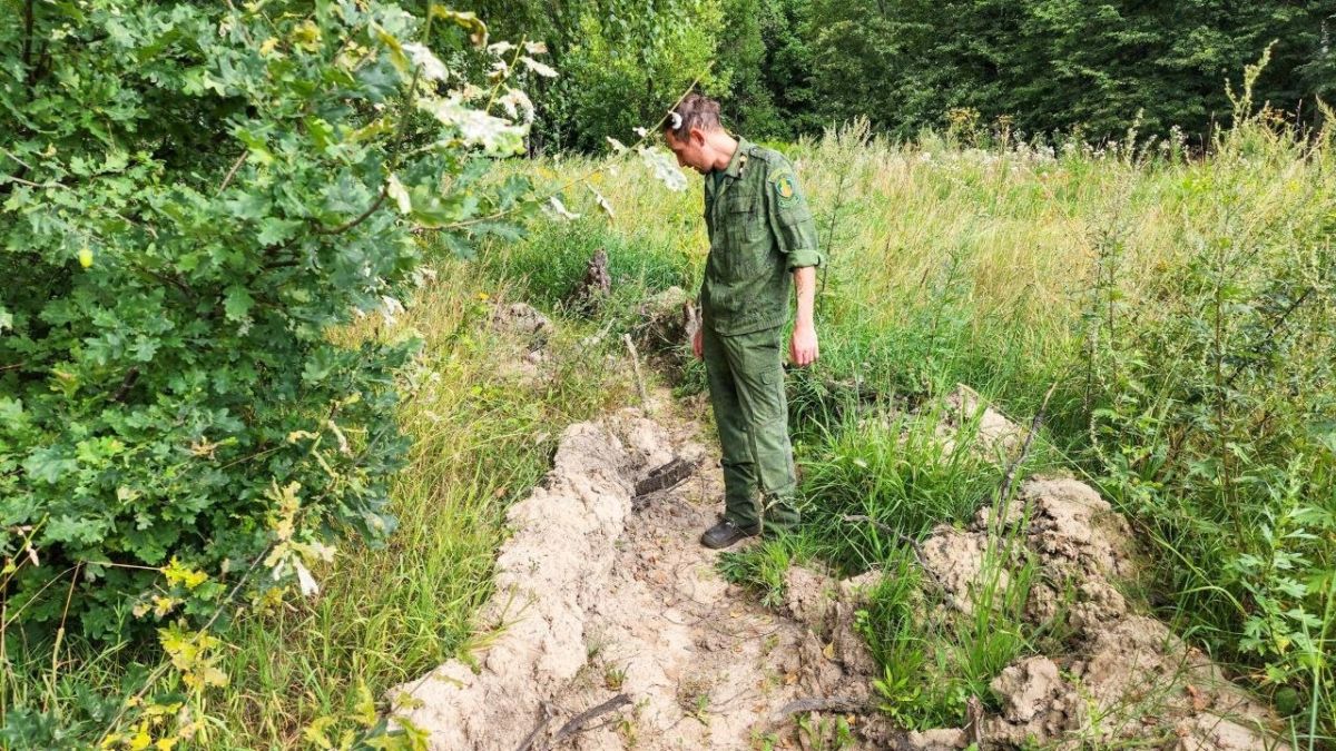 С начала года в лесах Подольска не произошло ни одного пожара С начала года в лесах Подольска не произошло ни одного пожара