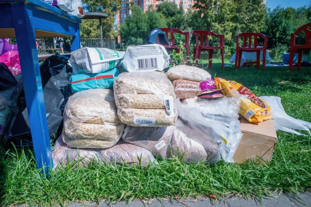 Более 200 кг гумпомощи собрали в рамках благотворительной акции в поддержку бездомных животных в Люберцах Более 200 кг гумпомощи собрали в рамках благотворительной акции в поддержку бездомных животных в Люберцах