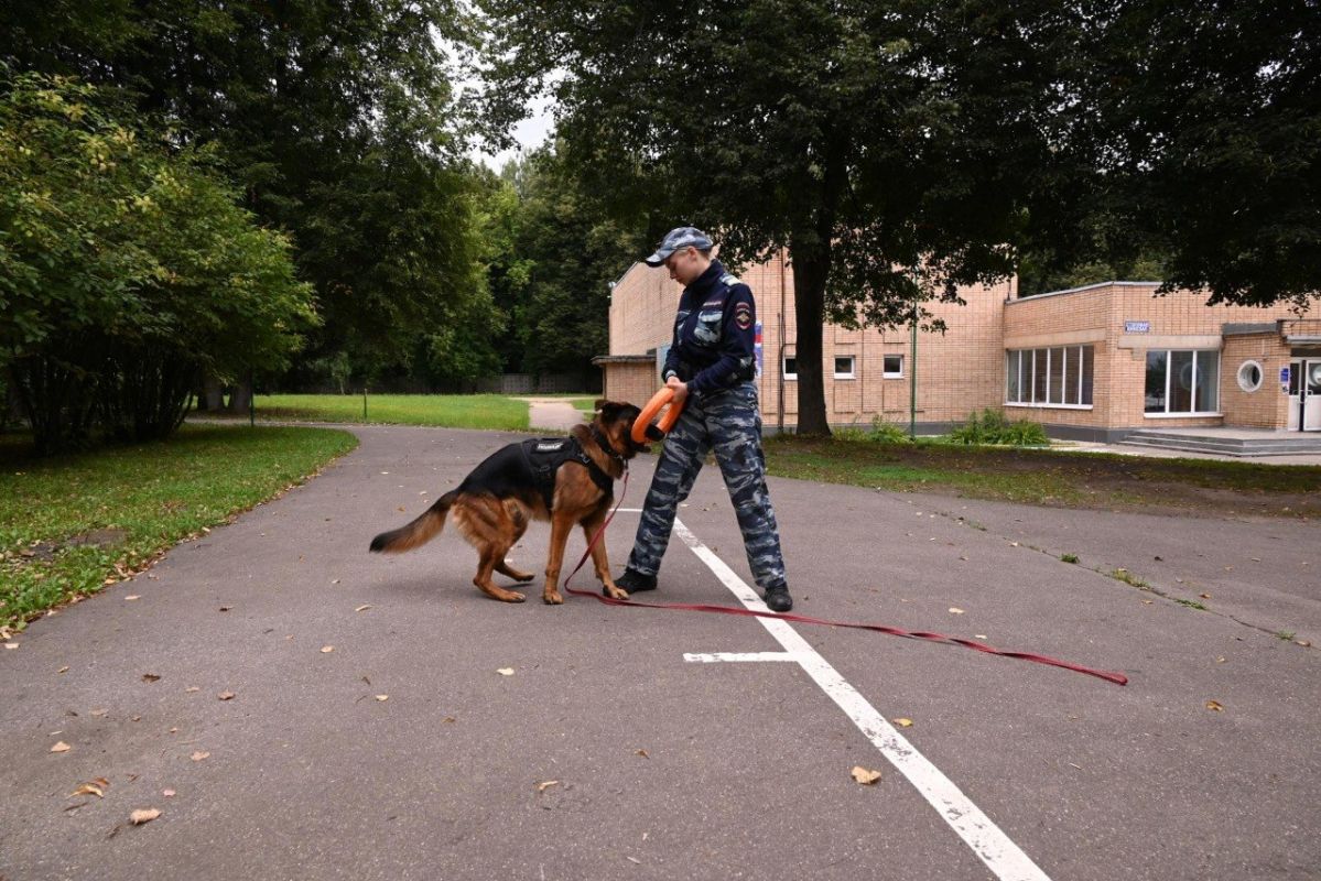 В Ленинском городском округе в оздоровительном лагере «Салют» в поселке Володарского прошло мероприятие «Безопасное лето», направленное на профилактику детского травматизма в период каникул В Ленинском городском округе в оздоровительном лагере «Салют» в поселке Володарского прошло мероприятие «Безопасное лето», направленное на профилактику детского травматизма в период каникул