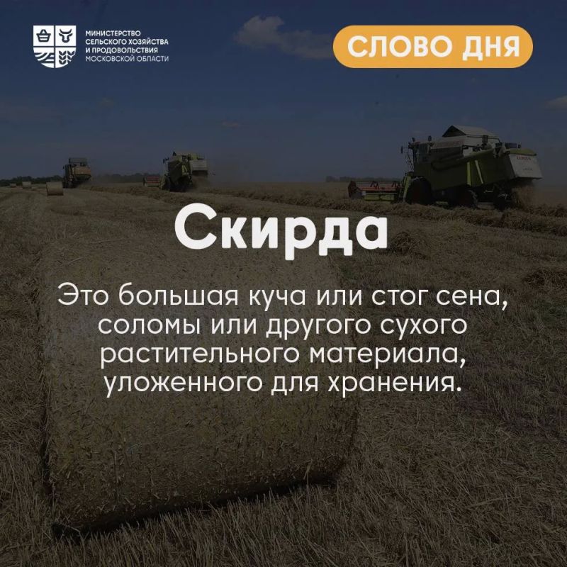 ������ �� �� ����������, � �� ���� ����