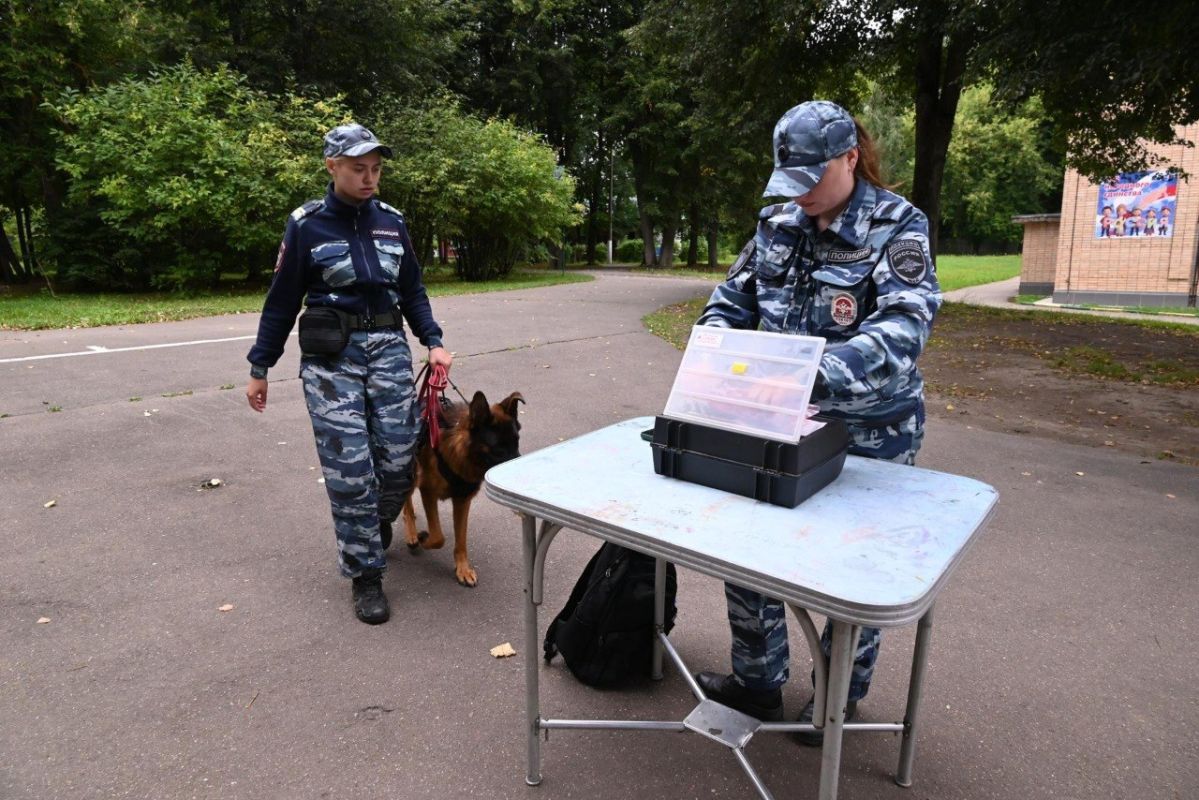 В Ленинском городском округе в оздоровительном лагере «Салют» в поселке Володарского прошло мероприятие «Безопасное лето», направленное на профилактику детского травматизма в период каникул В Ленинском городском округе в оздоровительном лагере «Салют» в поселке Володарского прошло мероприятие «Безопасное лето», направленное на профилактику детского травматизма в период каникул