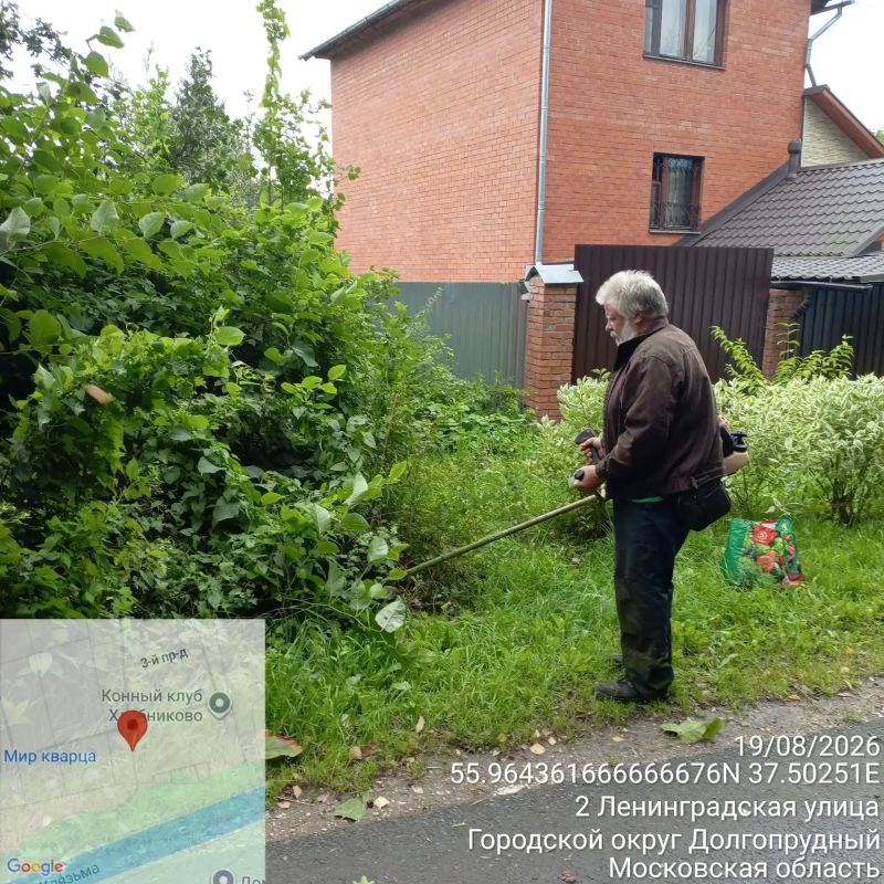 Экология и безопасность: где в Долгопрудном косят траву Экология и безопасность: где в Долгопрудном косят траву