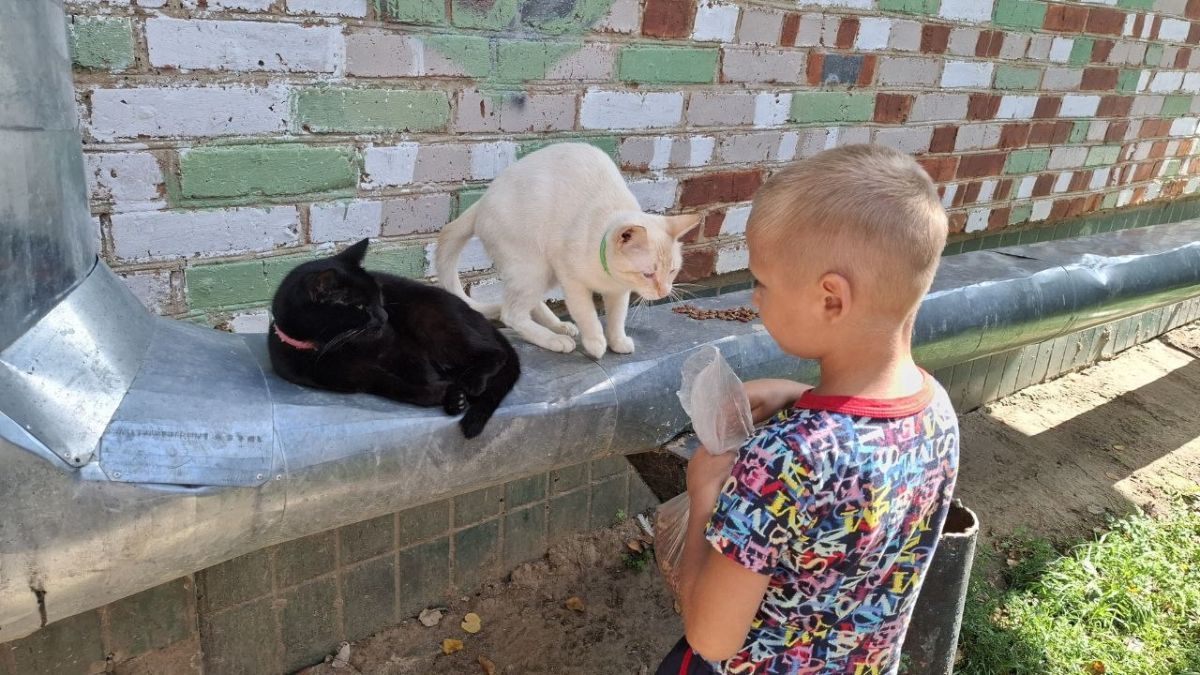 18 августа Стремиловской библиотеки прошла зооакция "Протяни лапу дружбы", посвященная Всемирному дню бездомных животных 18 августа Стремиловской библиотеки прошла зооакция "Протяни лапу дружбы", посвященная Всемирному дню бездомных животных