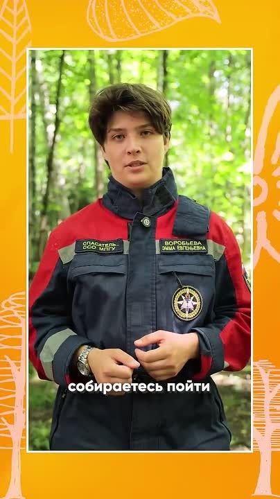 Топ-5 правил безопасности в лесу