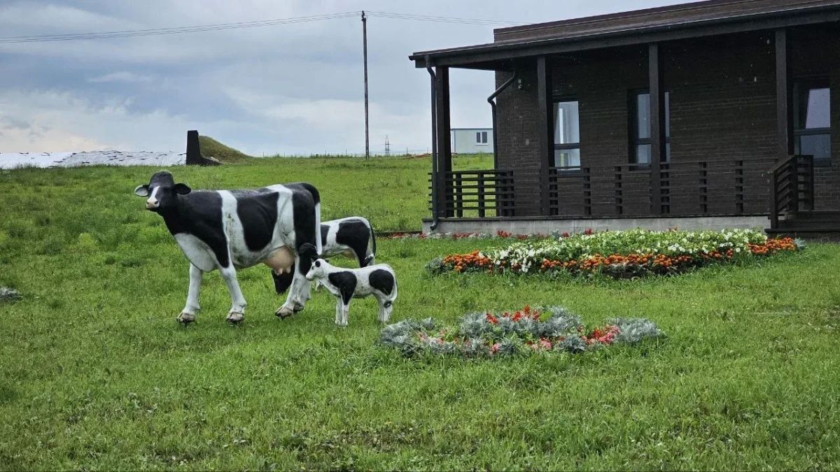 Озёрский агрохолдинг «ОСП агро» вошел в престижный рейтинг крупнейших производителей молока в России, подготовленный Союзмолоко, Милкньюс и Streda Consulting, заняв 50-е место в отрасли