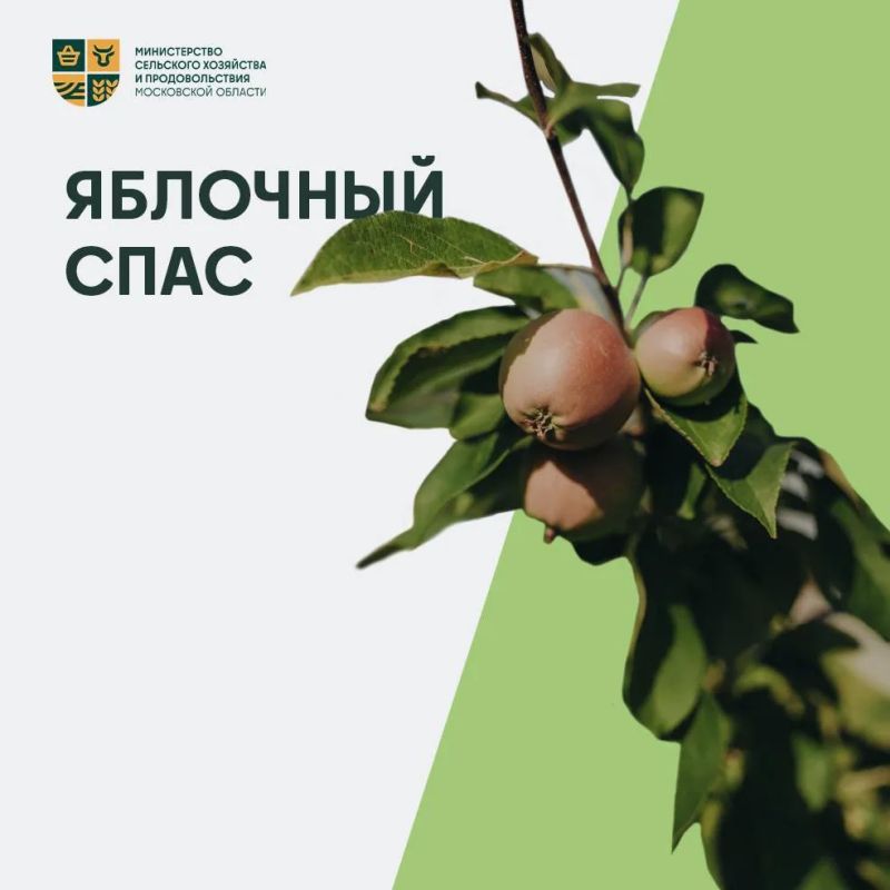 Сегодня отмечается Яблочный Спас