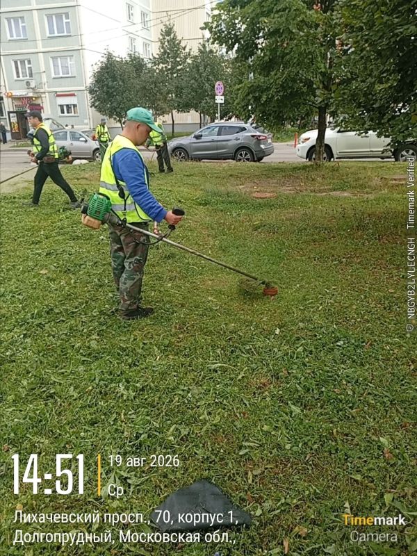 Экология и безопасность: где в Долгопрудном косят траву Экология и безопасность: где в Долгопрудном косят траву