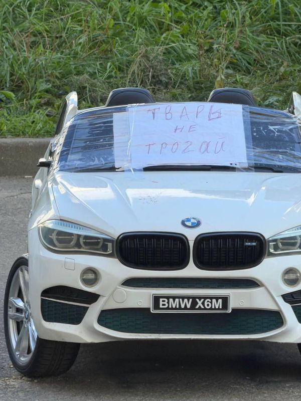 Игрушечная BMW уже две недели сторожит парковочное место в подмосковном Видном Игрушечная BMW уже две недели сторожит парковочное место в подмосковном Видном
