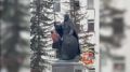 Мужчина забрался на памятник защитнику Отечества в Подмосковье, поспорив с подростками