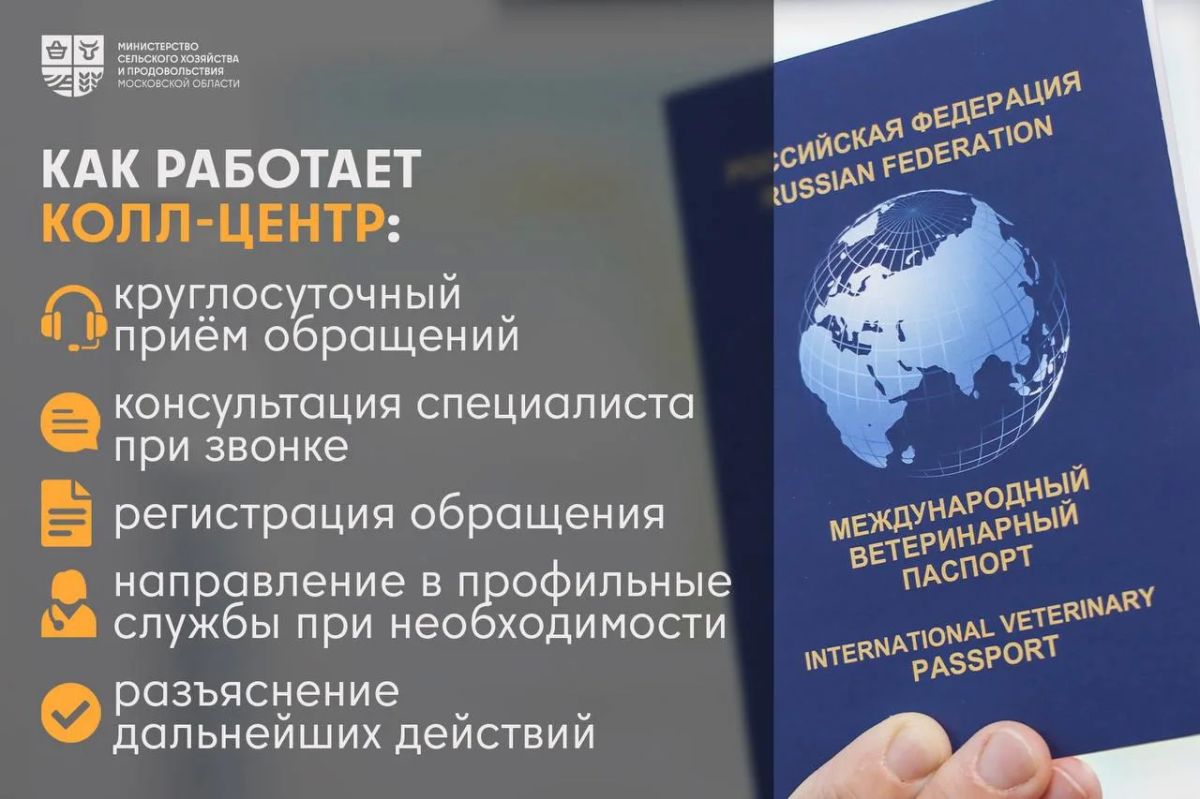 Один номер – по всем вопросам содержания животных Один номер – по всем вопросам содержания животных