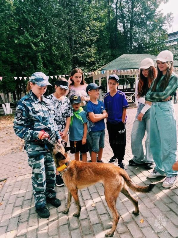 День профилактики проведен в оздоровительном лагере Подольска День профилактики проведен в оздоровительном лагере Подольска