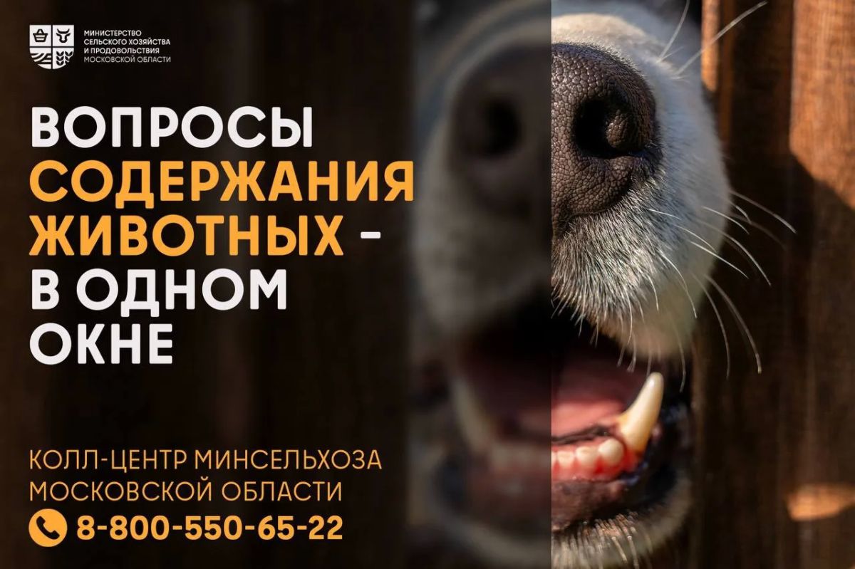 Один номер – по всем вопросам содержания животных