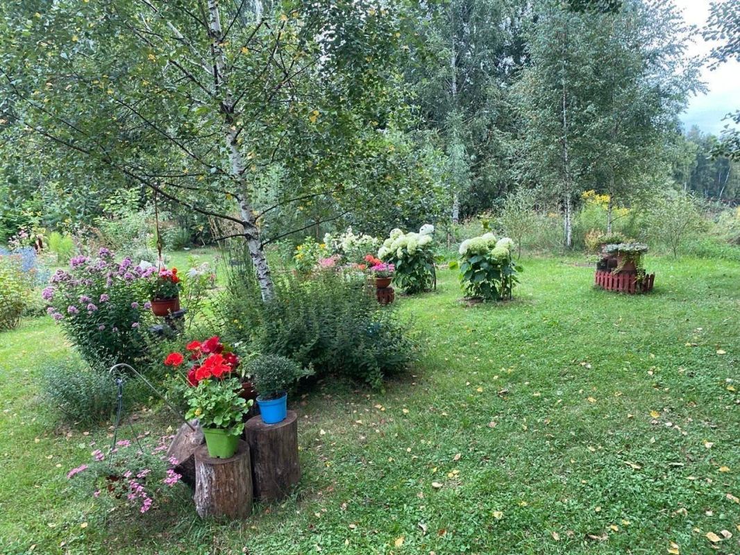 Ярко красная бегония, розовые флоксы, бело-голубые астры, шарообразные соцветия гортензий, разноцветные гладиолусы, оранжевые тыквы, батут, беседки с шезлонгами, котстровая чаша-это лишь часть перечисленного из того, что... Ярко красная бегония, розовые флоксы, бело-голубые астры, шарообразные соцветия гортензий, разноцветные гладиолусы, оранжевые тыквы, батут, беседки с шезлонгами, котстровая чаша-это лишь часть перечисленного из того, что...
