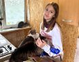 «Волонтеры Подмосковья» Городского округа Пушкинский посетили частный приют города Красноармейск, где 28 очаровательных котиков ищут теплый дом и любящие руки