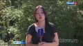 Мишки разошлись. Медведи всё чаще выходят на территории населённых пунктов в поисках еды