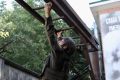 Восемь человек успешно прошли испытания на право ношения крапового берета в Балашихе