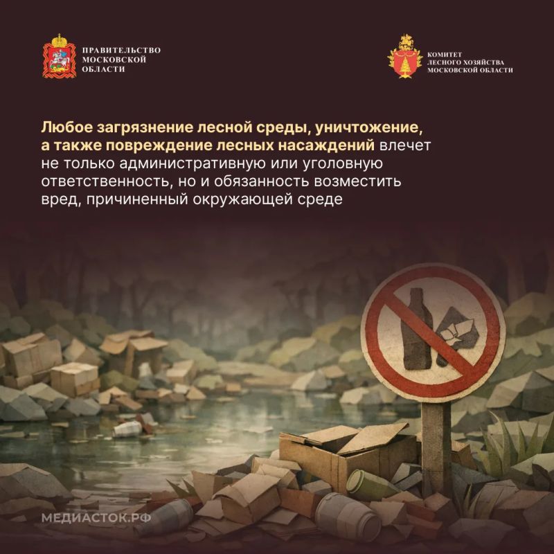 Санитарная безопасность в лесах: правила и ответственность за их нарушение Санитарная безопасность в лесах: правила и ответственность за их нарушение