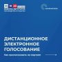 Голосуйте онлайн: доступно дистанционное электронное голосование