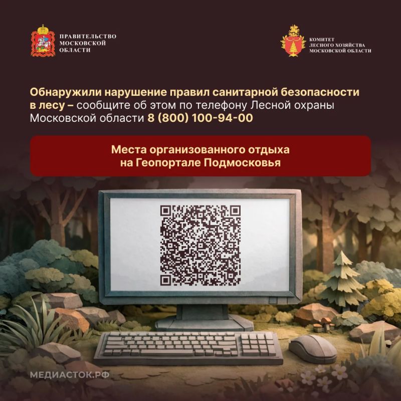 Санитарная безопасность в лесах: правила и ответственность за их нарушение Санитарная безопасность в лесах: правила и ответственность за их нарушение