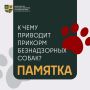 Доброе дело – с ответственностью
