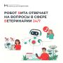 Вместо тысячи гудков – робот Вита