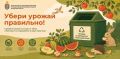 Жители Балашихи могут сдать овощи и фрукты в переработку