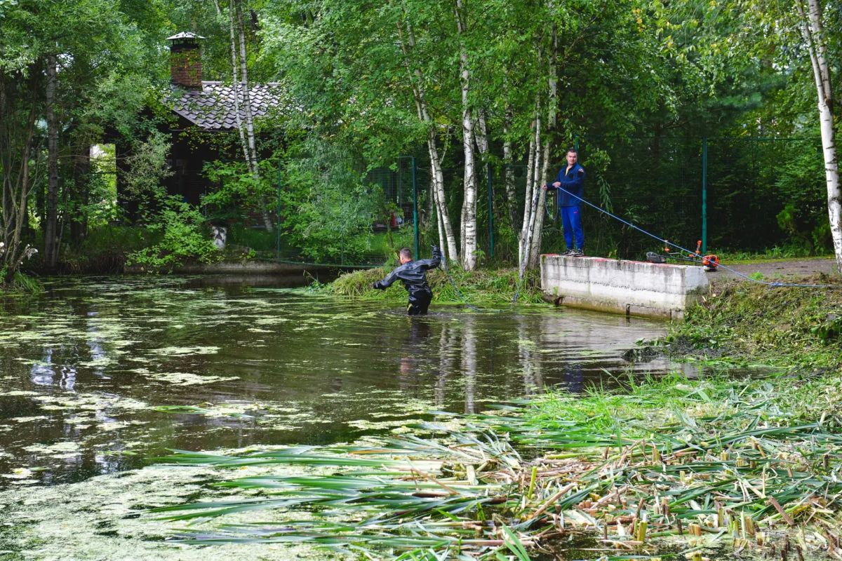 В Химках проводят санитарную очистку пожарных водоёмов — что делают специалисты В Химках проводят санитарную очистку пожарных водоёмов — что делают специалисты