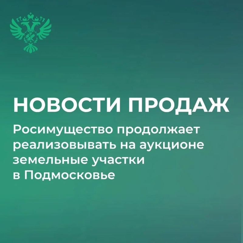 Росимущество проведёт аукционы по продаже 38 земельных участков в Клинском и Серпуховском районах Московской области