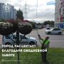 Город расцветает благодаря ежедневной заботе