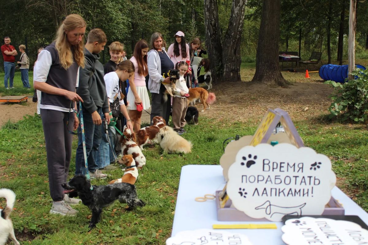 «Хвосты и хвостики»: в Ступино прошёл фестиваль домашних животных «Хвосты и хвостики»: в Ступино прошёл фестиваль домашних животных