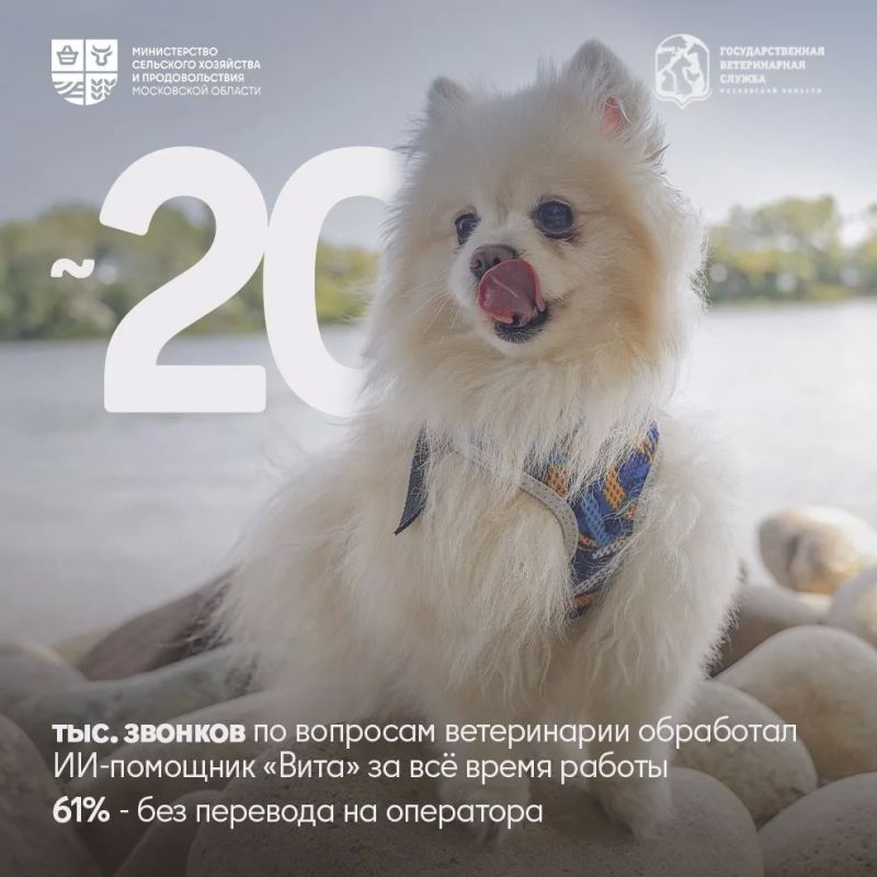 Ветеринария – это призвание, которое выбирают сердцем Ветеринария – это призвание, которое выбирают сердцем