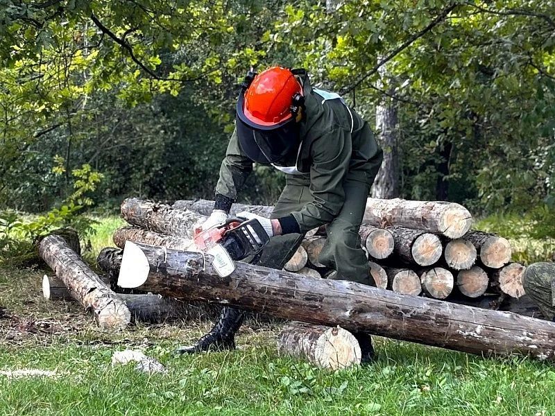 В Воскресенске прошли соревнования специалистов лесного хозяйства Московской области В Воскресенске прошли соревнования специалистов лесного хозяйства Московской области